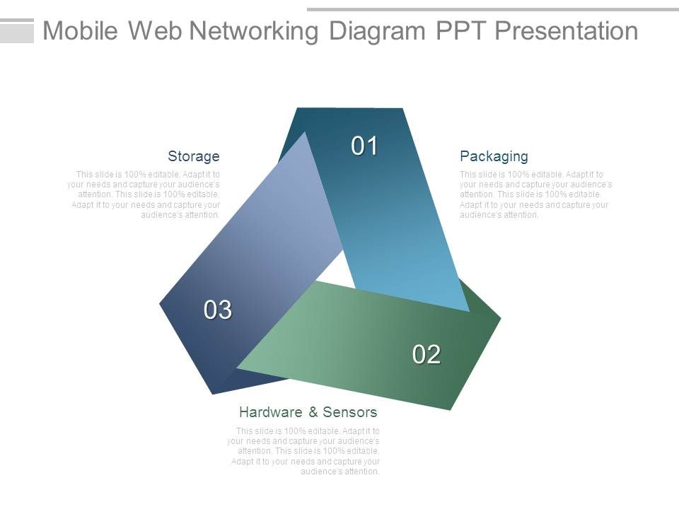 Mobile_Web_Networking_Diagram_Ppt_Presentation_1.jpg