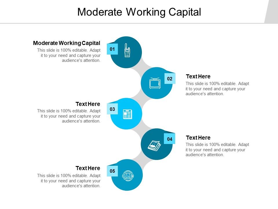 Moderate_Working_Capital_Ppt_PowerPoint_Presentation_Professional_Examples_Cpb_Slide_1.jpg