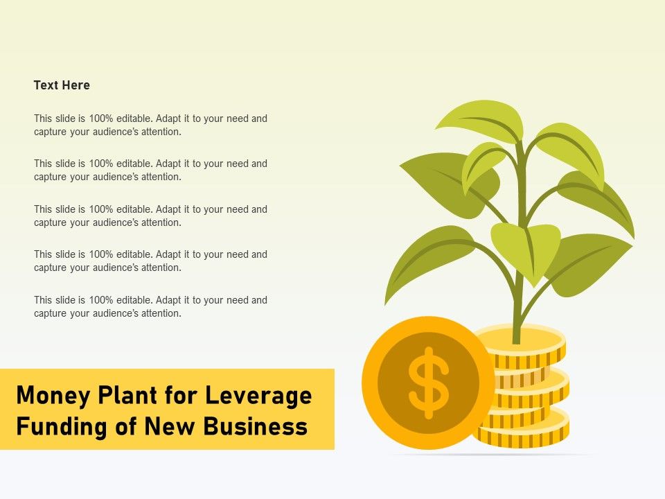 Money_Plant_For_Leverage_Funding_Of_New_Business_Ppt_PowerPoint_Presentation_Model_Objects_PDF_Slide_1.jpg
