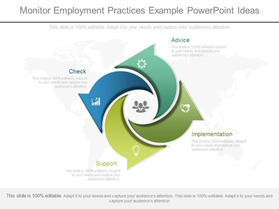 Monitor_Employment_Practices_Example_Powerpoint_Ideas_1.jpg