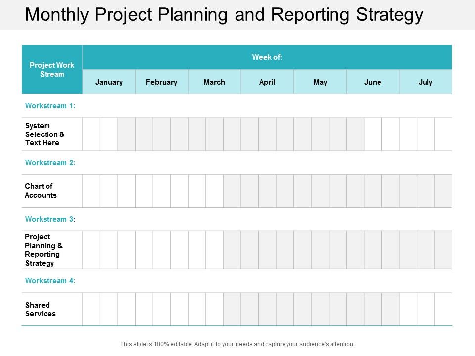 Monthly_Project_Planning_And_Reporting_Strategy_Ppt_PowerPoint_Presentation_Styles_File_Formats_Slide_1.jpg