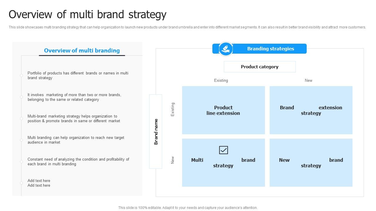 Multi_Brand_Launch_Strateic_Plan_Overview_Of_Multi_Brand_Strategy_Guidelines_PDF_Slide_1.jpg