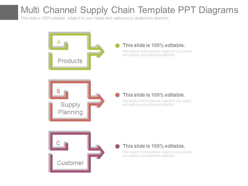Multi_Channel_Supply_Chain_Template_Ppt_Diagrams_1.jpg