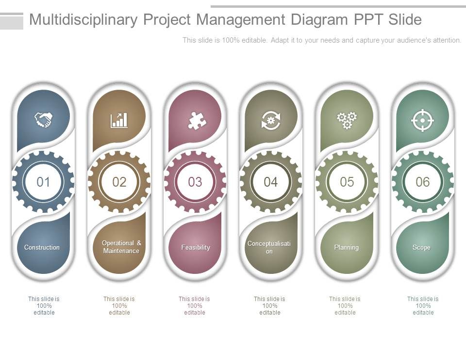 Multidisciplinary_Project_Management_Diagram_Ppt_Slide_1.jpg