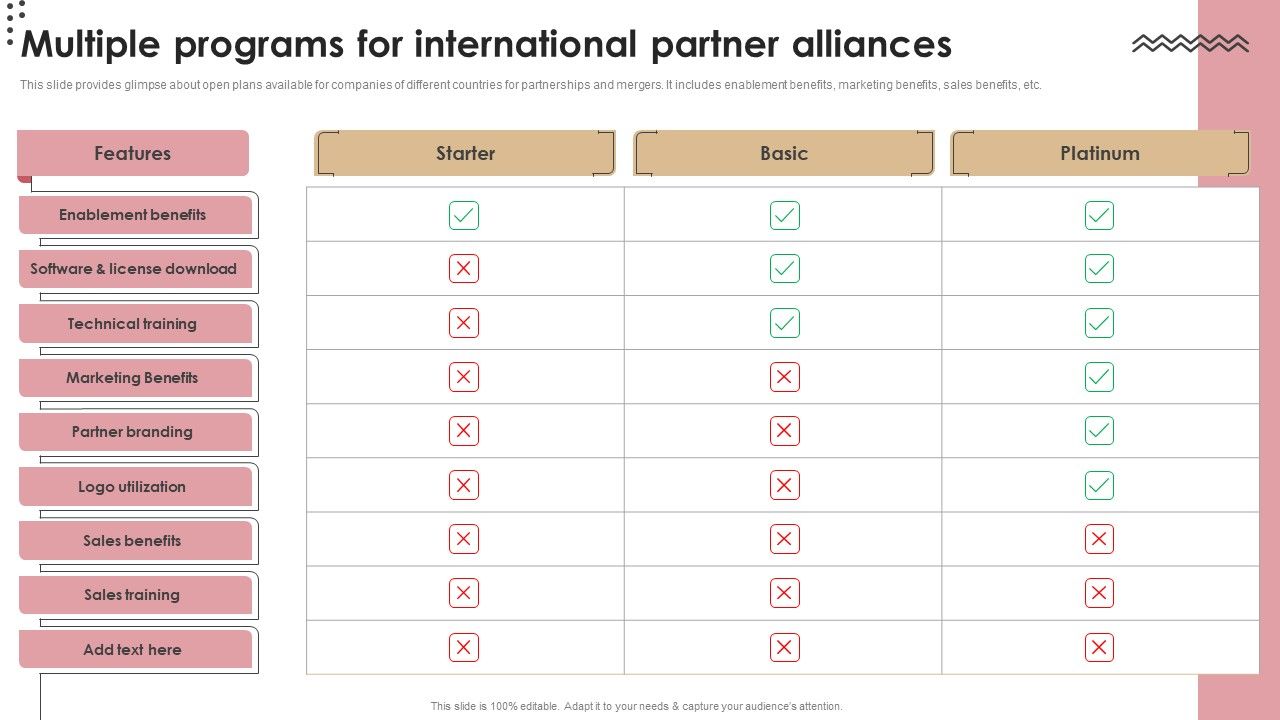 Multiple_Programs_For_International_Partner_Alliances_Ideas_PDF_Slide_1.jpg