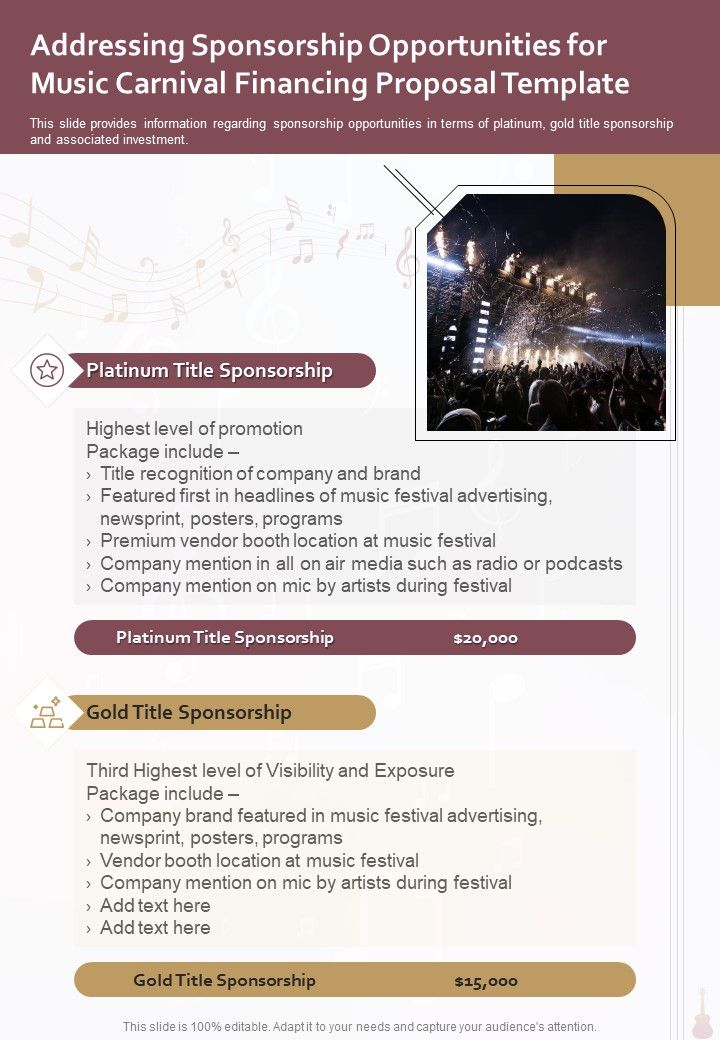 Music Carnival Financing Proposal Template Example Document Report Doc Pdf Ppt