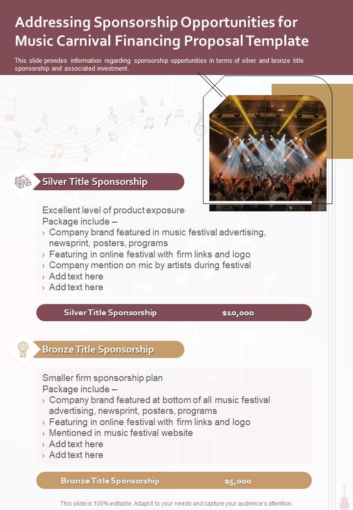 Music Carnival Financing Proposal Template Example Document Report Doc Pdf Ppt
