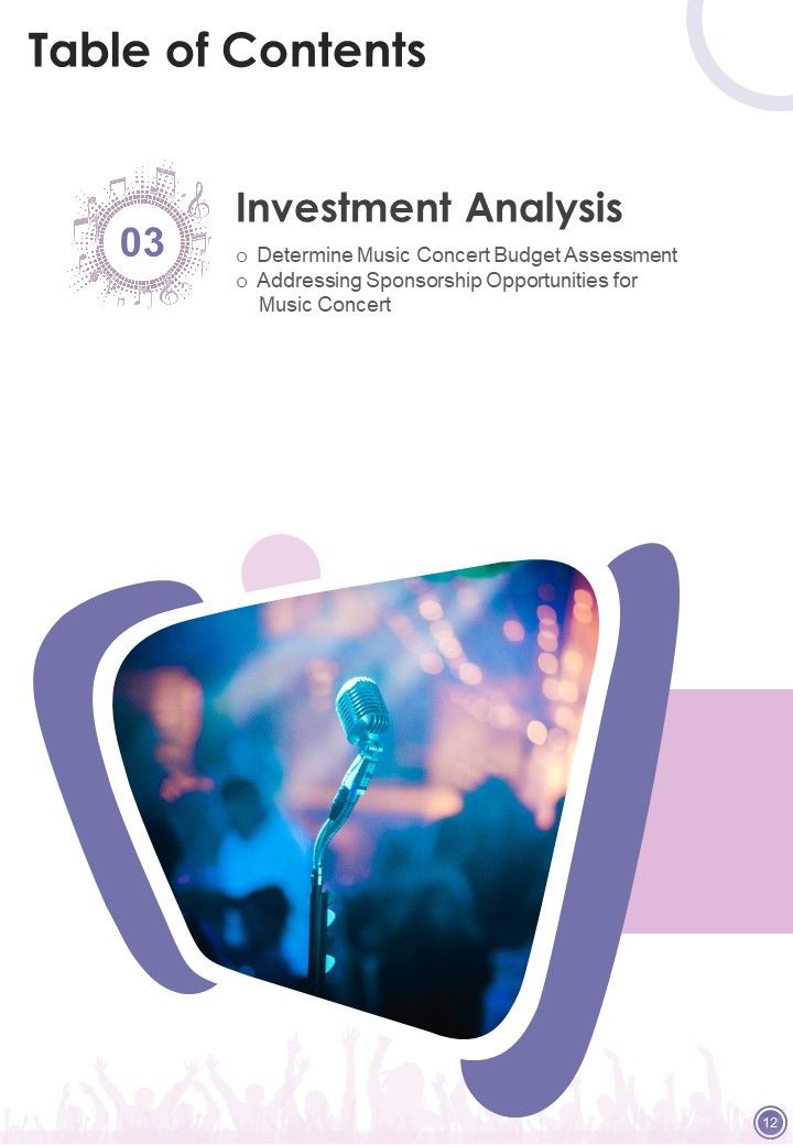 Music Concert Funding Proposal Example Document Report Doc Pdf Ppt