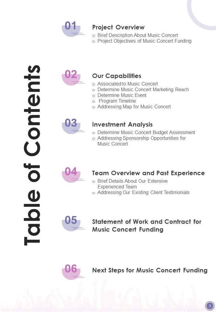 Music Concert Funding Proposal Example Document Report Doc Pdf Ppt