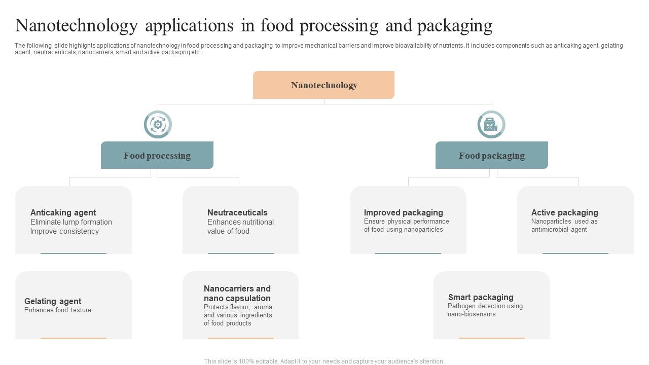 Nanotechnology_Applications_In_Food_Processing_And_Packaging_Guidelines_PDF_Slide_1.jpg