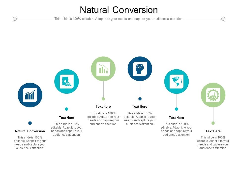 Natural_Conversion_Ppt_PowerPoint_Presentation_Model_Introduction_Cpb_Pdf_Slide_1.jpg