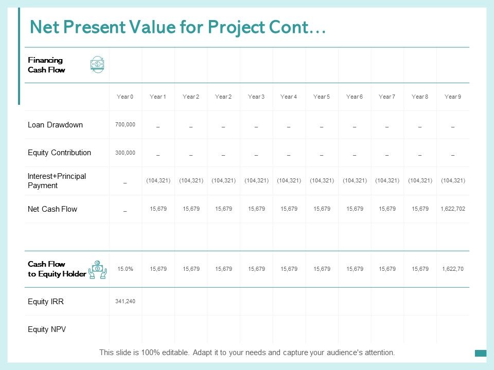 Net_Present_Value_For_Project_Cont_Loan_Drawdown_Ppt_PowerPoint_Presentation_Professional_Slide_Slide_1.jpg