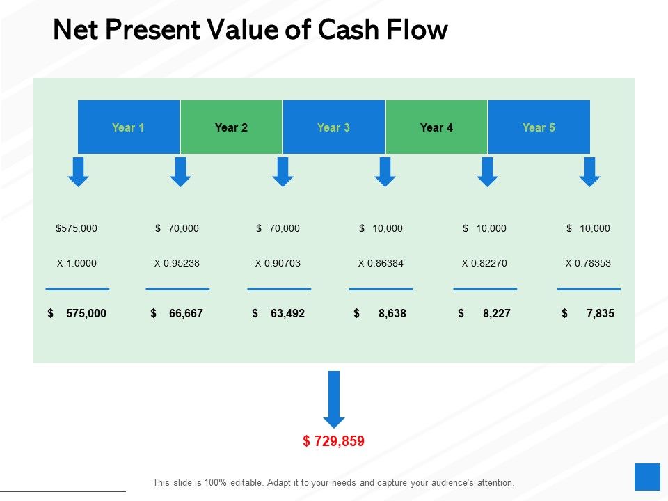 Net_Present_Value_Of_Cash_Flow_Ppt_PowerPoint_Presentation_Layouts_Portrait_Slide_1.jpg