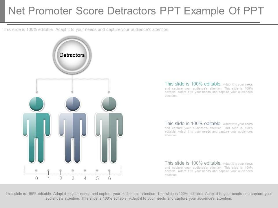 Net_Promoter_Score_Detractors_Ppt_Example_Of_Ppt_1.jpg