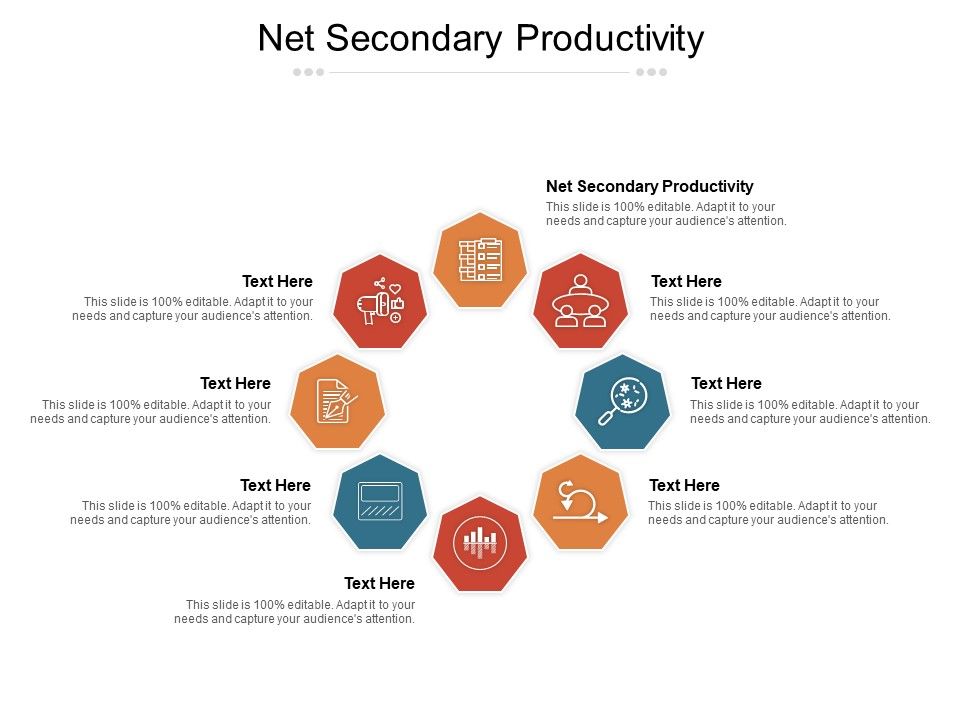 Net_Secondary_Productivity_Ppt_PowerPoint_Presentation_Slides_Gallery_Cpb_Pdf_Slide_1.jpg