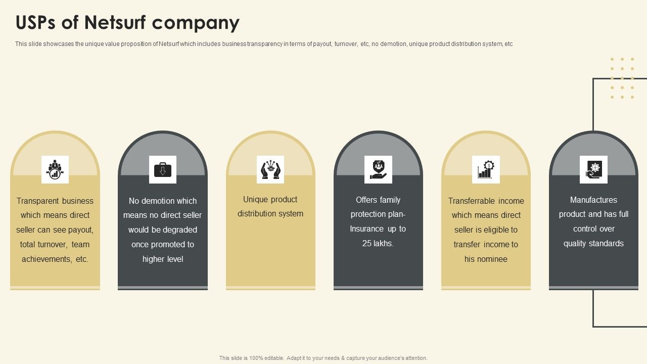 Netsurf_Business_Profile_Usps_Of_Netsurf_Company_Ppt_Portfolio_Format_PDF_Slide_1.jpg