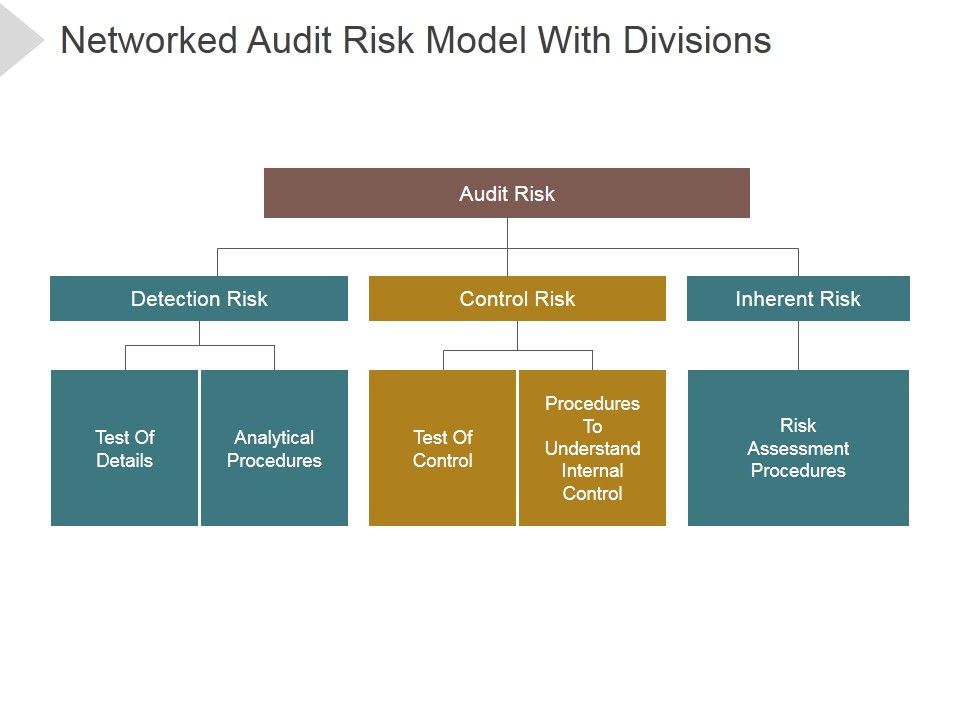 Networked_Audit_Risk_Model_With_Divisions_Ppt_PowerPoint_Presentation_Professional_Slide_1.jpg