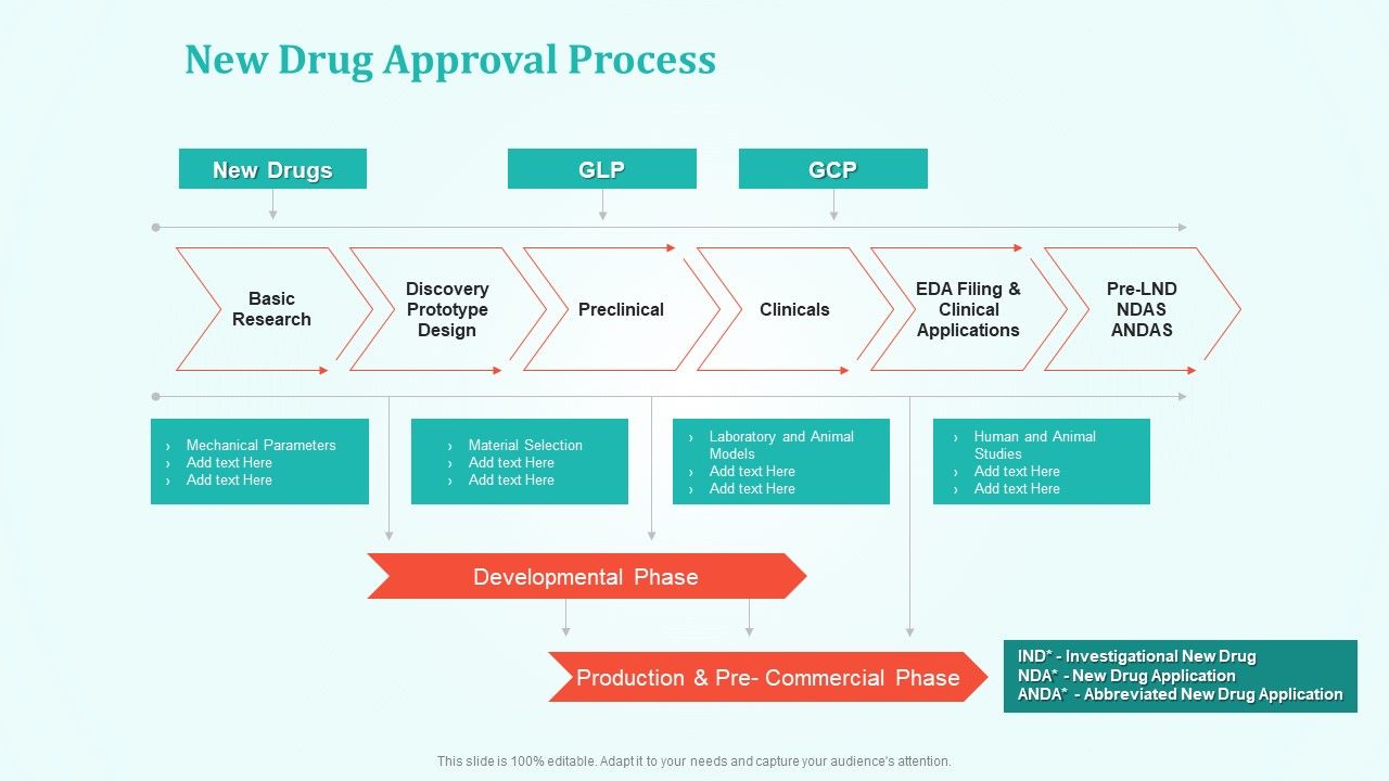 New_Drug_Development_And_Review_Process_New_Drug_Approval_Process_Brochure_PDF_Slide_1.jpg