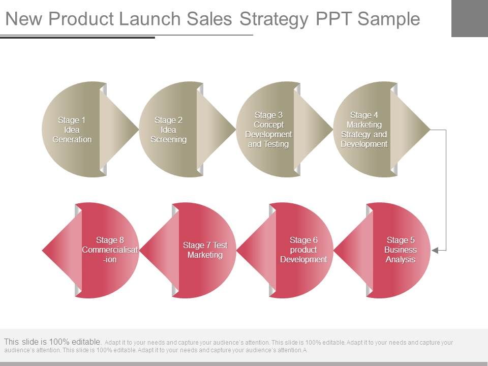 New_Product_Launch_Sales_Strategy_Ppt_Sample_1.jpg