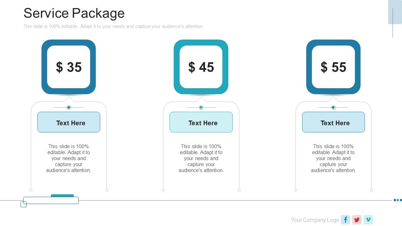New_Service_Launch_Plan_Service_Package_Ppt_Summary_Example_Introduction_PDF_Slide_1.jpg