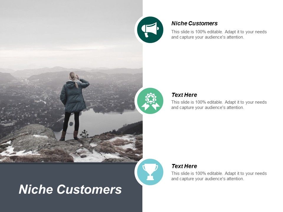 Niche_Customers_Ppt_PowerPoint_Presentation_Ideas_Templates_Cpb_Slide_1.jpg