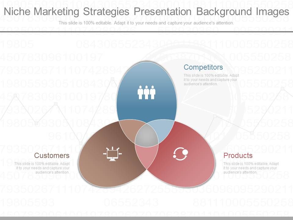 Niche_Marketing_Strategies_Presentation_Background_Images_1.jpg