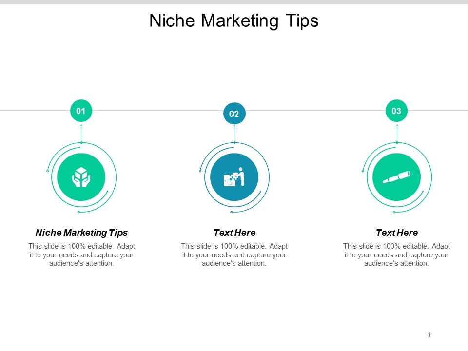 Niche_Marketing_Tips_Ppt_PowerPoint_Presentation_Portfolio_Maker_Cpb_Slide_1.jpg