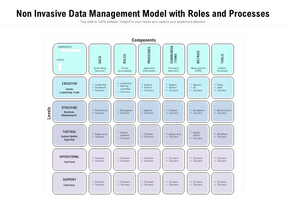 Non_Invasive_Data_Management_Model_With_Roles_And_Processes_Ppt_PowerPoint_Presentation_Gallery_Slideshow_PDF_Slide_1.jpg