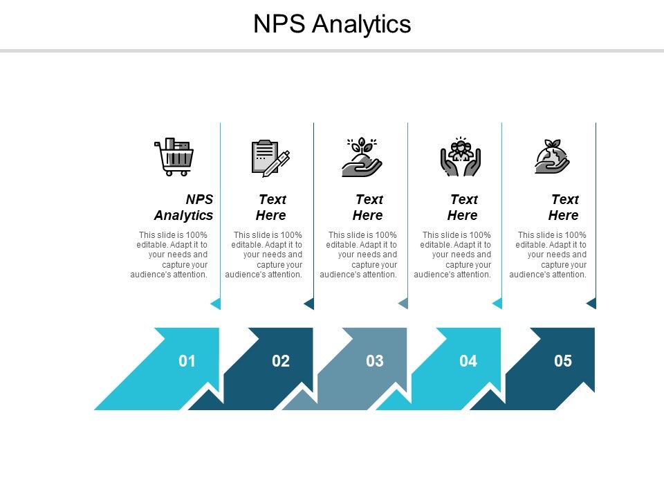 Nps_Analytics_Ppt_PowerPoint_Presentation_Layouts_Portrait_Cpb_Slide_1.jpg