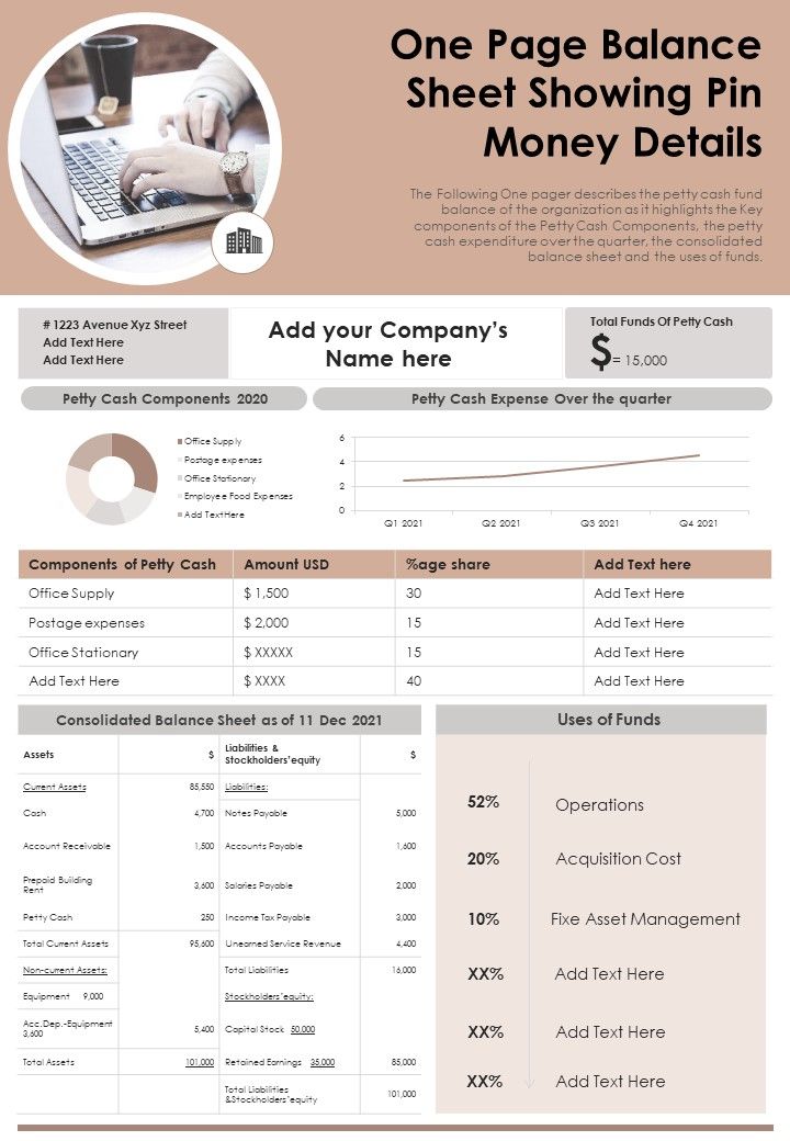 One Page Balance Sheet Showing Pin Money Details PDF Document PPT Template Slide01