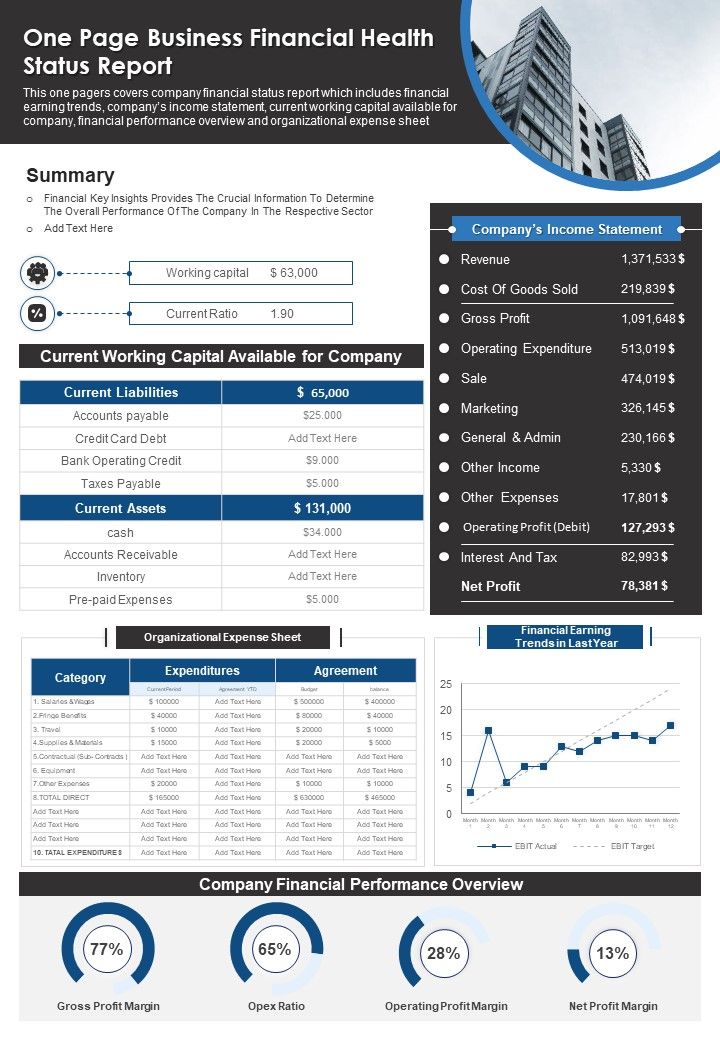 One Page Business Financial Health Status Report PDF Document PPT Template Slide01
