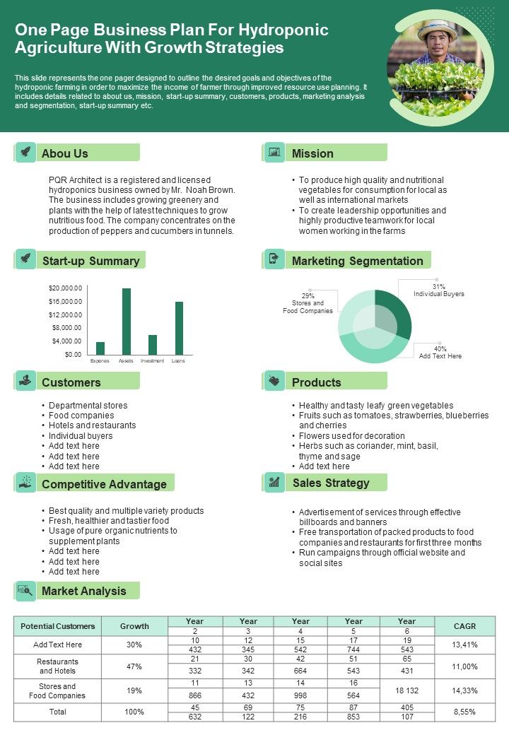 One_Page_Business_Plan_For_Hydroponic_Agriculture_With_Growth_Strategies_PDF_Document_PPT_Template_Slide_1.jpg