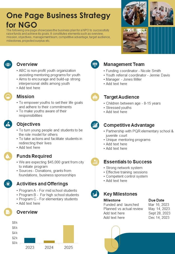 One Page Business Strategy For NGO PDF Document PPT Template Slide01