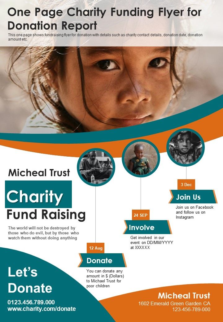 One_Page_Charity_Funding_Flyer_For_Donation_Report_PDF_Document_PPT_Template_Slide_1.jpg