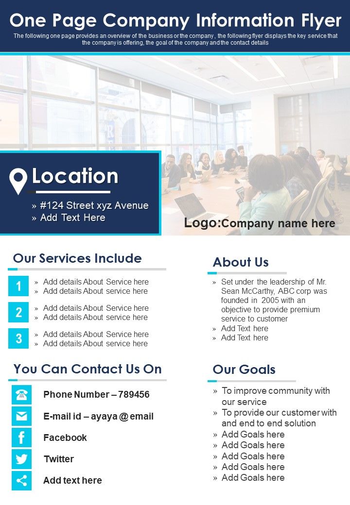 One Page Company Information Flyer PDF Document PPT Template Slide01