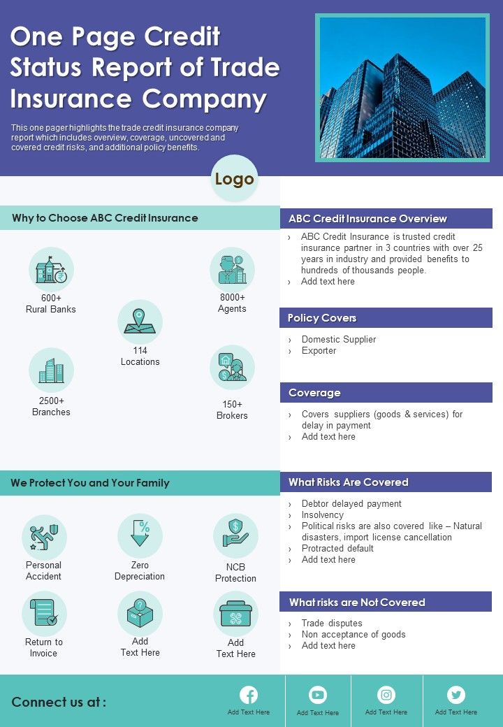 One Page Credit Status Report Of Trade Insurance Company PDF Document PPT Template Slide01