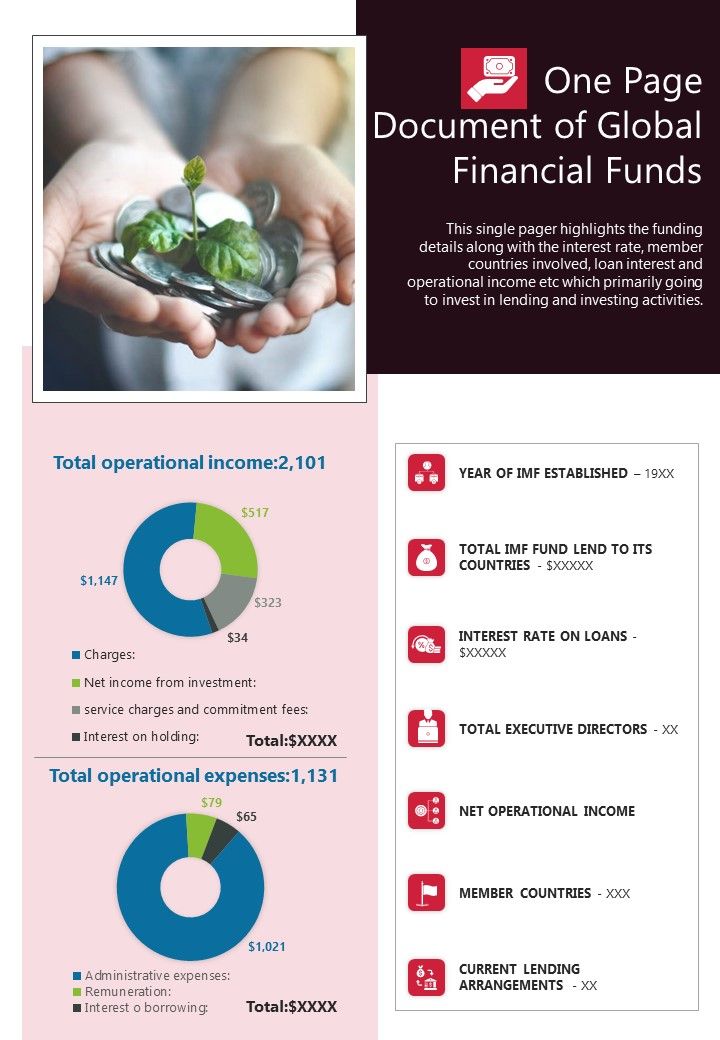 One Page Document Of Global Financial Funds PDF Document PPT Template Slide01