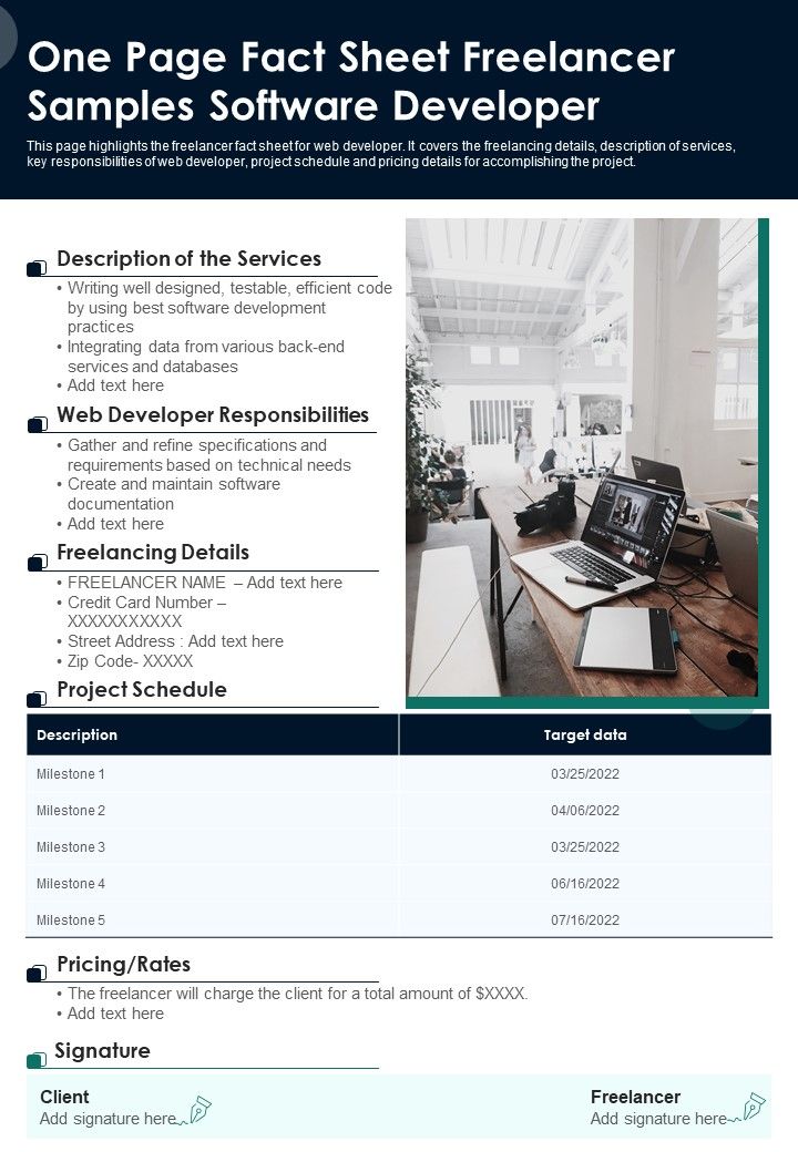 One Page Fact Sheet Freelancer Samples Software Developer PDF Document PPT Template Slide01
