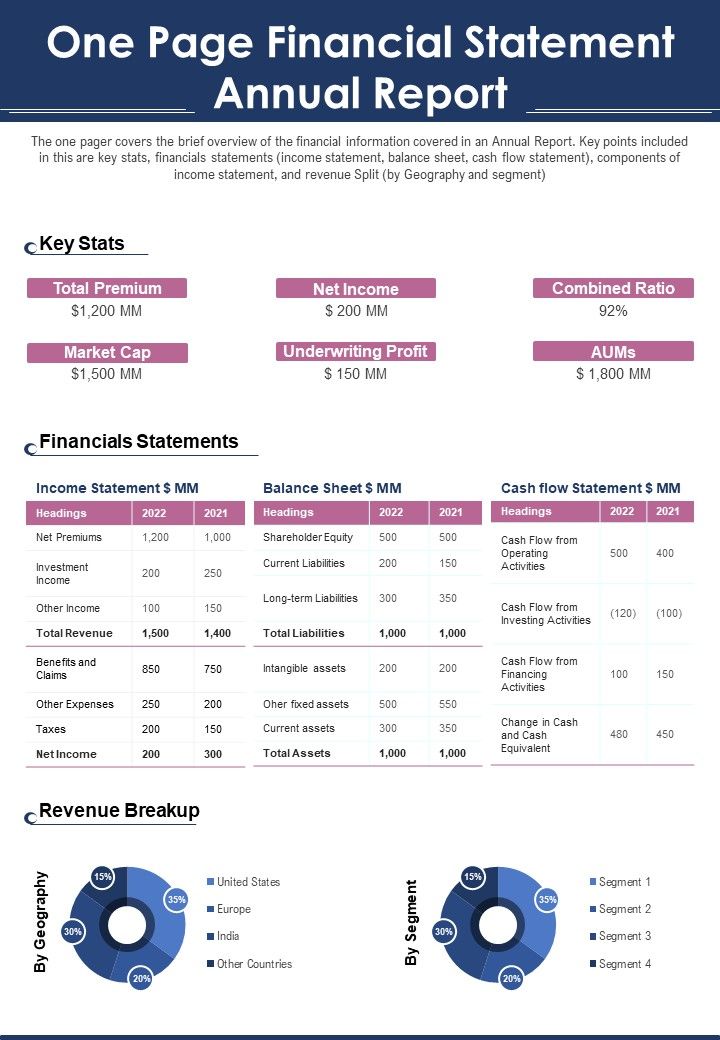 One Page Financial Statement Annual Report PDF Document PPT Template Slide01