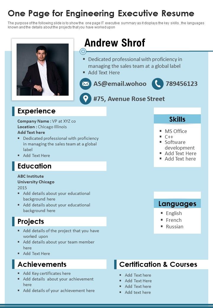 One Page For Engineering Executive Resume PDF Document PPT Template Slide01