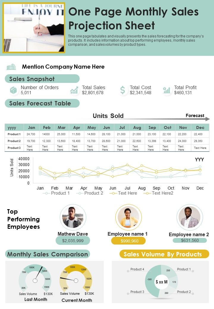 One Page Monthly Sales Projection Sheet PDF Document PPT Template Slide01