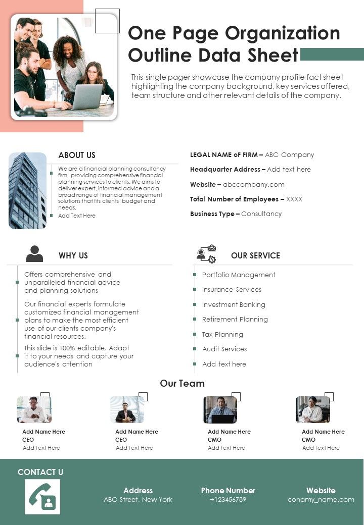 One Page Organization Outline Data Sheet PDF Document PPT Template Slide01