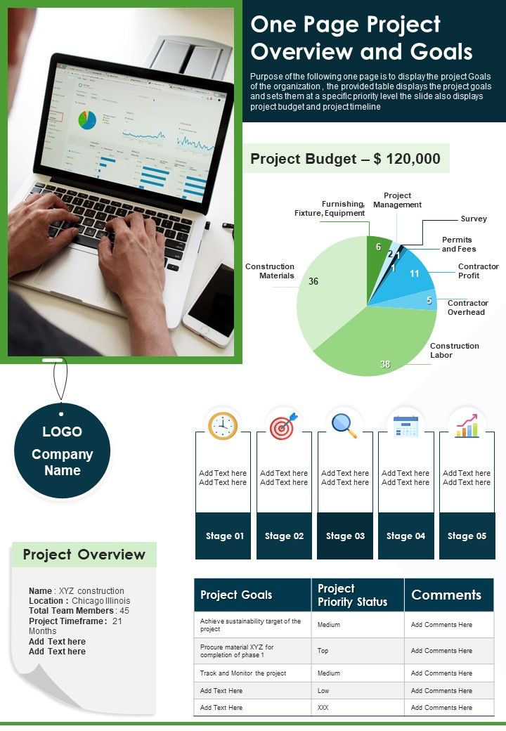 One Page Project Overview And Goals PDF Document PPT Template Slide01