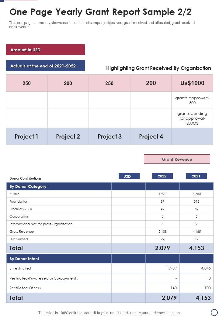 One Page Yearly Grant Report Sample One Pager Documents