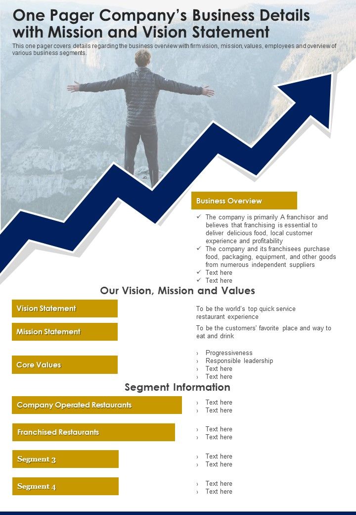 One Pager Companys Business Details With Mission And Vision Statement PDF Document PPT Template Slide01