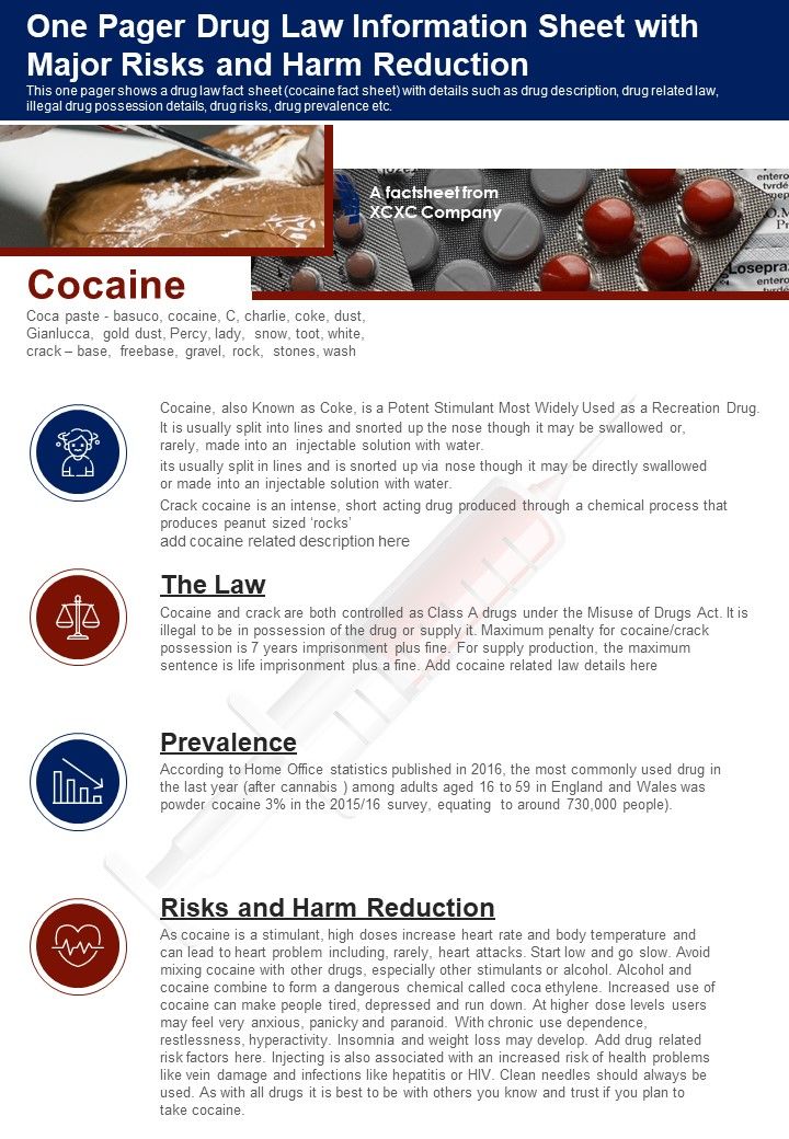 One Pager Drug Law Information Sheet With Major Risks And Harm Reduction PDF Document PPT Template Slide01