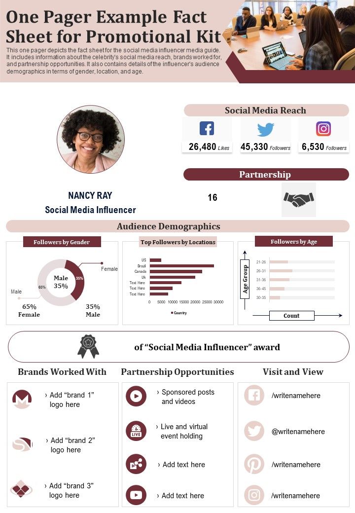 One Pager Example Fact Sheet For Promotional Kit PDF Document PPT Template Slide01