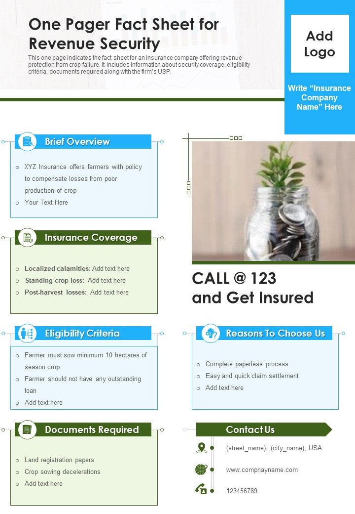 One Pager Fact Sheet For Revenue Security PDF Document PPT Template Slide01