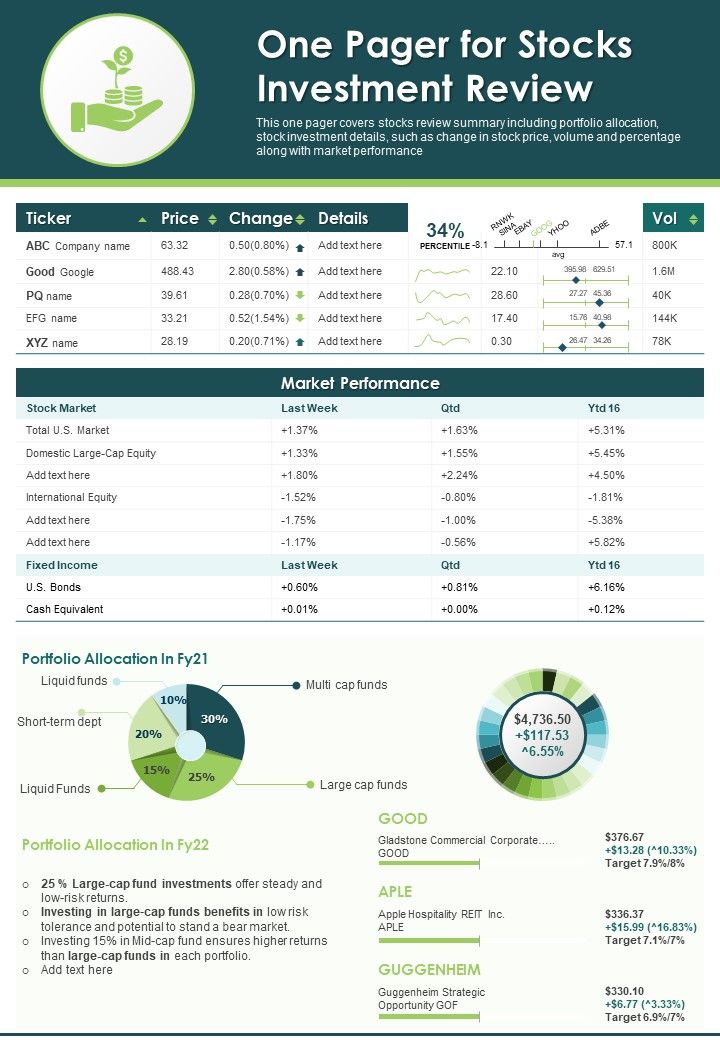 One Pager For Stocks Investment Review PDF Document PPT Template Slide01