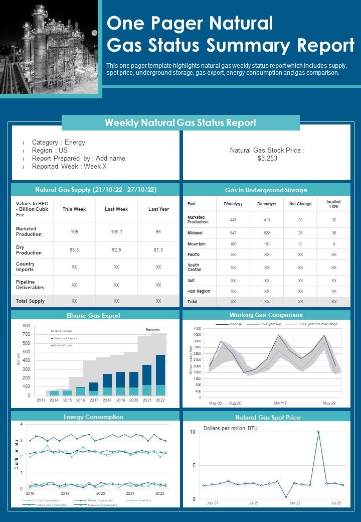 One Pager Natural Gas Status Summary Report PDF Document PPT Template Slide01